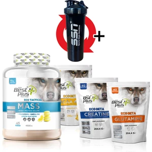 BPN Best Plus Nutrition ECO TACTICAL KOMBİNASYON PAKETİ (MASS GAINER LİMON MACARON)