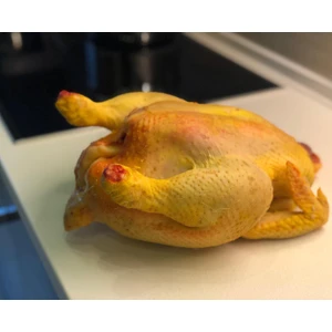 Anaç Köy Tavuğu ( Adet Ağrılığı 2500-3000 gr )