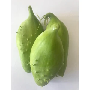 Karahasanoğlu Tarım Caigua - Cyclanthera Pedata - Inka Hıyarı Tohumu 5 Adet