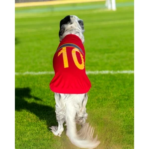 Uno Red Büyük Irk Köpekler Için Tişört