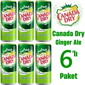 Canada Dry Ginger Ale 6'lı Paket