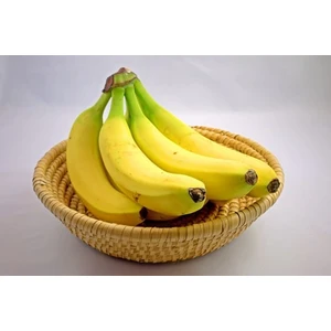 Alanya Tropikal Alanya Muzu