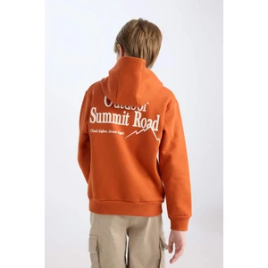 Erkek Çocuk Kapüşonlu Sırt Baskılı Nakışlı Sweatshirt D3056A824WN