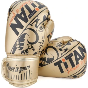 Titan Sport Gold Serisi Işlemeli Model Boks Eldiveni