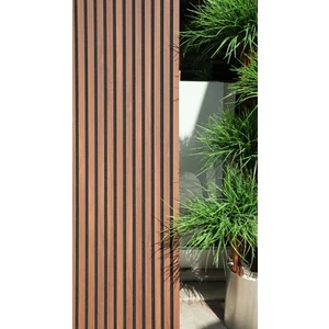 Defne Decor Akustik Panel Ceviz 50X280
