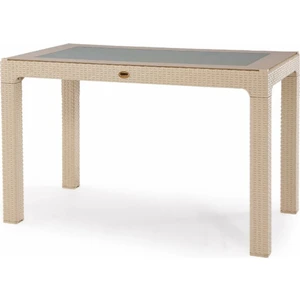 Ziynet Home Rattan Masa 70X120 Sabit Camlı Masa - Bahçe Teras Balkon Masası A Plus Orta Boy Masa