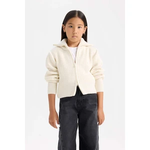 Kız Çocuk Basic Düz Dik Yaka Fermuarlı Triko Hırka C9557A824WN