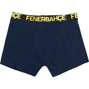 Erkek Fenerbahçe Boxer
