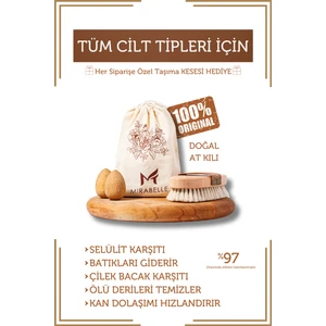 %100 Doğal At Kılı Fırçası