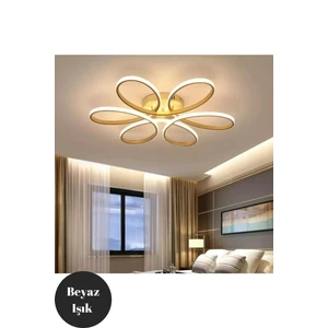 Nipul Eskitme Modern Plafonyer Beyaz Işık Salon Mutfak Oda Hol Ledli Avize