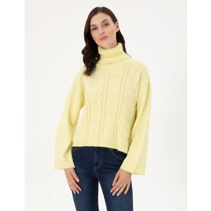 Pierre Cardin Kadın Sarı Crop Top Balıkçı Yaka Kazak 50302630-VR044