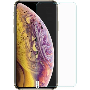 Apple iPhone X/XS Standart Kırılmaz Cam