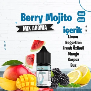 Akn Kimya Berry Mojito Mix Aroma Limon Böğürtlen Frenk Üzümü Buz Gıda Aroması 10 ml