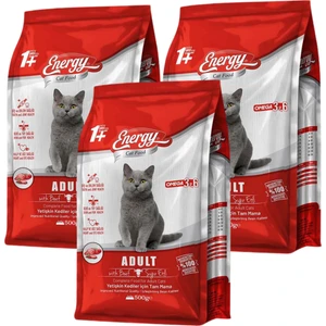Sığır Etli Yetişkin Kedi Maması 1 kg - 3 Adet
