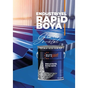 1 kg Europaint End Rapid Boya