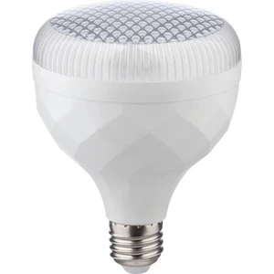 60 Watt Kristal Torch Ampul
