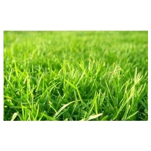 Amonyum Sülfat Şeker Gübresi 3 kg