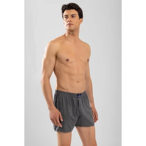 Baykar Erkek Pamuklu Düz Boxer 3'lü Set 1119 Füme