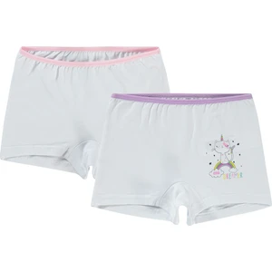 Civil Girls Kız Çocuk 2'li Boxer 2-10 Yaş  Lila