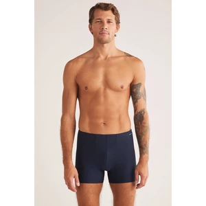 Domenıco Boxer 660284