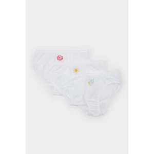 Kız Çocuk Baskılı 3'lü Slip Külot E2567A824AU