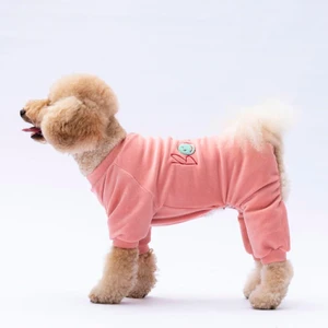 Rose Bonjour Kadife Küçük Irk Köpek Tulumu