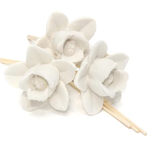 Gül Seramik Taşlı 10'lu Doğal Bambu Kamış Seti