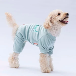 Mint Bonjour Kadife Küçük Irk Köpek Tulumu