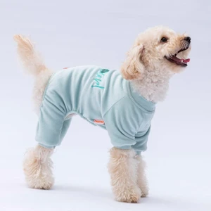 Mint Bonjour Kadife Küçük Irk Köpek Tulumu