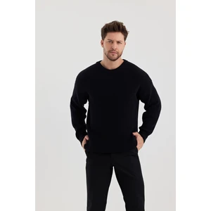 Cool Tarz Erkek Regular Fit Bisiklet Yaka Örgülü Triko