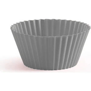 Silikon Muffin Kalıbı 6'lı