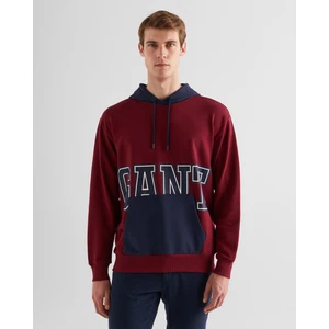 Erkek Bordo Regular Fit Kapüşonlu Logolu Sweatshirt 2524341T.604