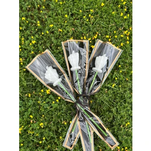 Panacea Design Tekli NAH BUKETİ , Komik Hediye, Arkadaşa Hediye , Doğum Günü Hediyesi