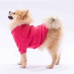 Pembe Merino Esnek, Küçük Irk Triko Köpek Kazağı