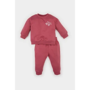 Kız Bebek 2'li Takım Bisiklet Yaka Baskılı Sweatshirt Beli Lastikli Eşofman Altı D0813A524WN