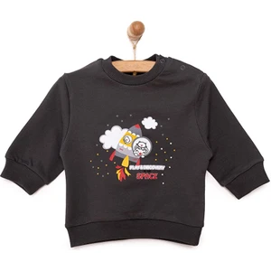 Basic Az Şardonlu Aslan Desenli Sweatshirt Erkek Bebek