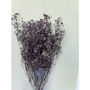 Esse Bahçe Şoklu Cipso 50 gr Demet