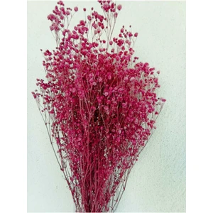 Esse Bahçe Şoklu Cipso 50 gr Demet