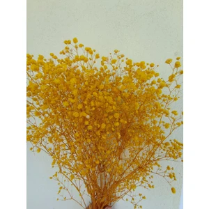 Esse Bahçe Şoklu Cipso 50 gr Demet