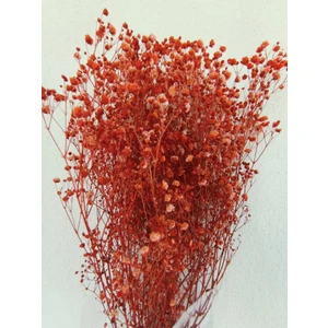 Esse Bahçe Şoklu Cipso 50 gr Demet