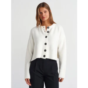 60280 Dik Yaka Düğmeli Yumuşak Dokulu Yırtmaçlı Triko Hırka-Ekru