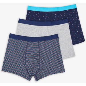Travel 3lü Çok Renkli Boxer
