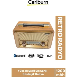 Yüksek Sesli Retro Şık Şarjlı Bluetooth Müzik Çalar USB Sd Aux Fm Radyo Nostaljik Müzik Kutusu