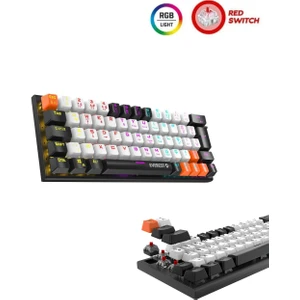 Parley Beyaz/ Siyah Rainbow Aydınlatmalı Türkçe Q RED Switch Kablolu Mekanik Gaming Oyuncu Klavyesi