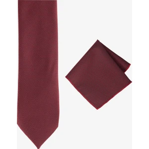 Altınyıldız Classics Kravat-Mendil Set