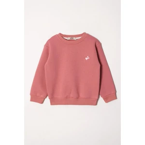 Bisiklet Yaka Uzun Kol Kalp Kalp Nakışlı Sardonlu Kız Çocuk  Mercan Renk Sweatshirt