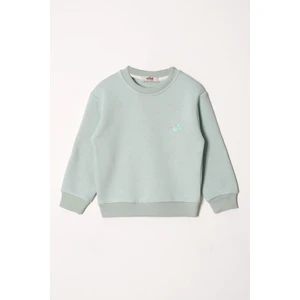 Bisiklet Yaka Uzun Kol Kalp Nakışlı Sardonlu Kız Çocuk  Mint Renk Sweatshirt