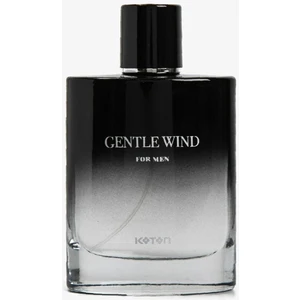 Centle Wınd 100 ml Erkek Parfüm
