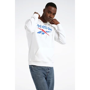 Rı Ft Big Logo Oth Hood Gri Erkek Sweatshirt