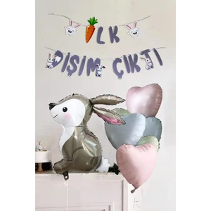 Ilk Dişim Çıktı Tavşan ve Kalp Balonlu Süsleme Seti Diş Buğdayı Süsleri Bannerlı Paket